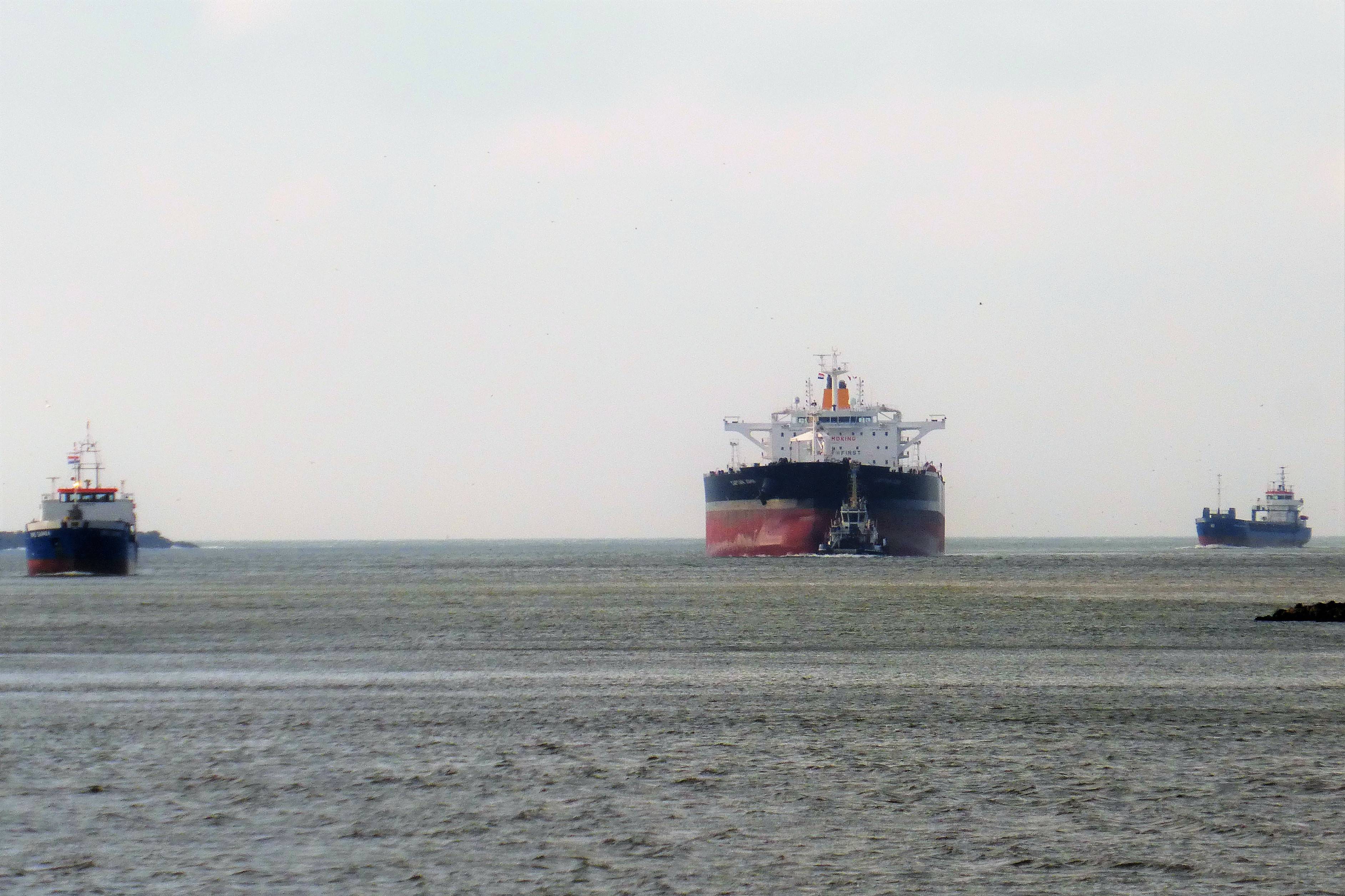 Pieren IJmuiden   13-01-20 